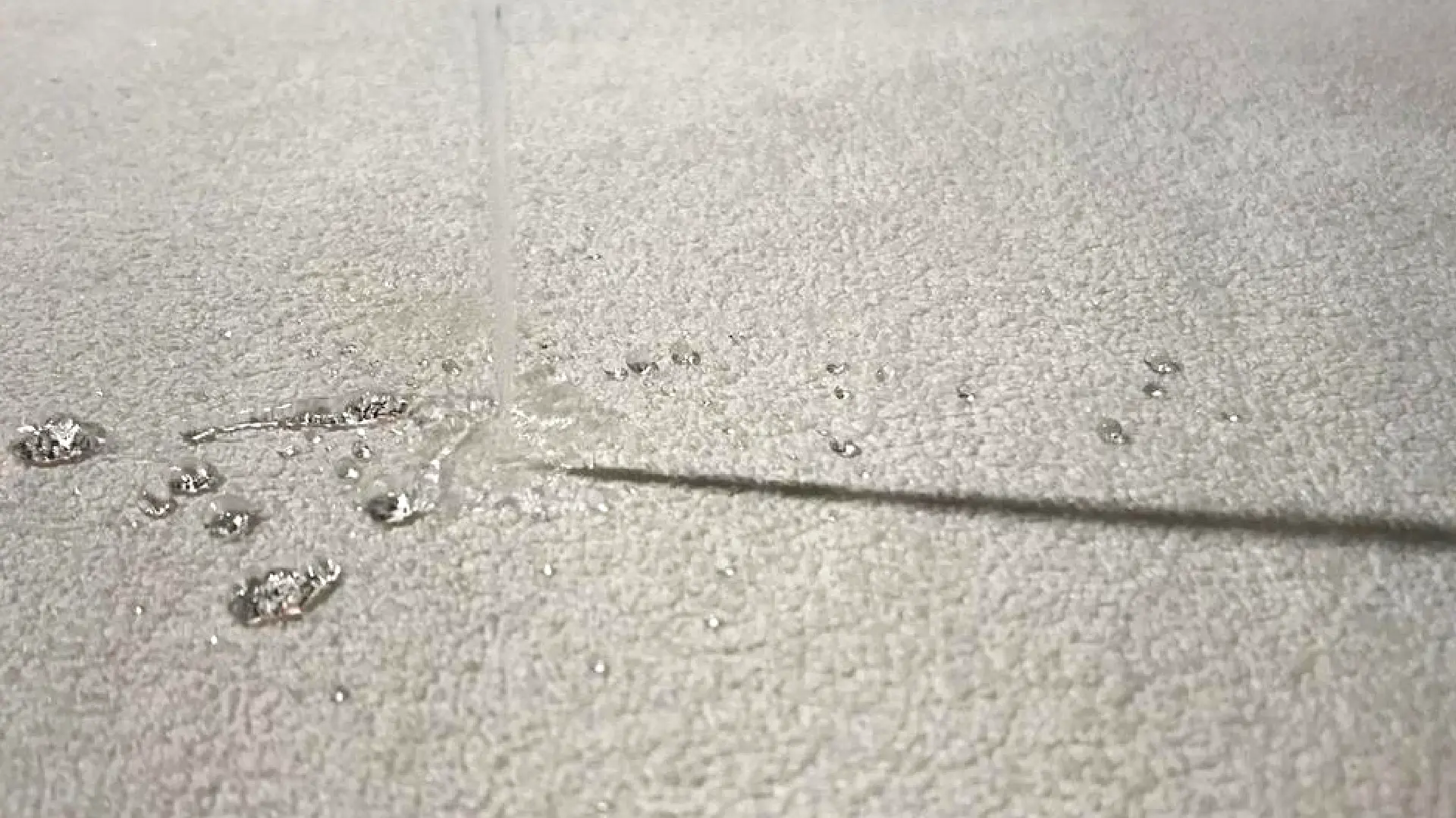 happy-woman-portrait-and-technician-with-tablet